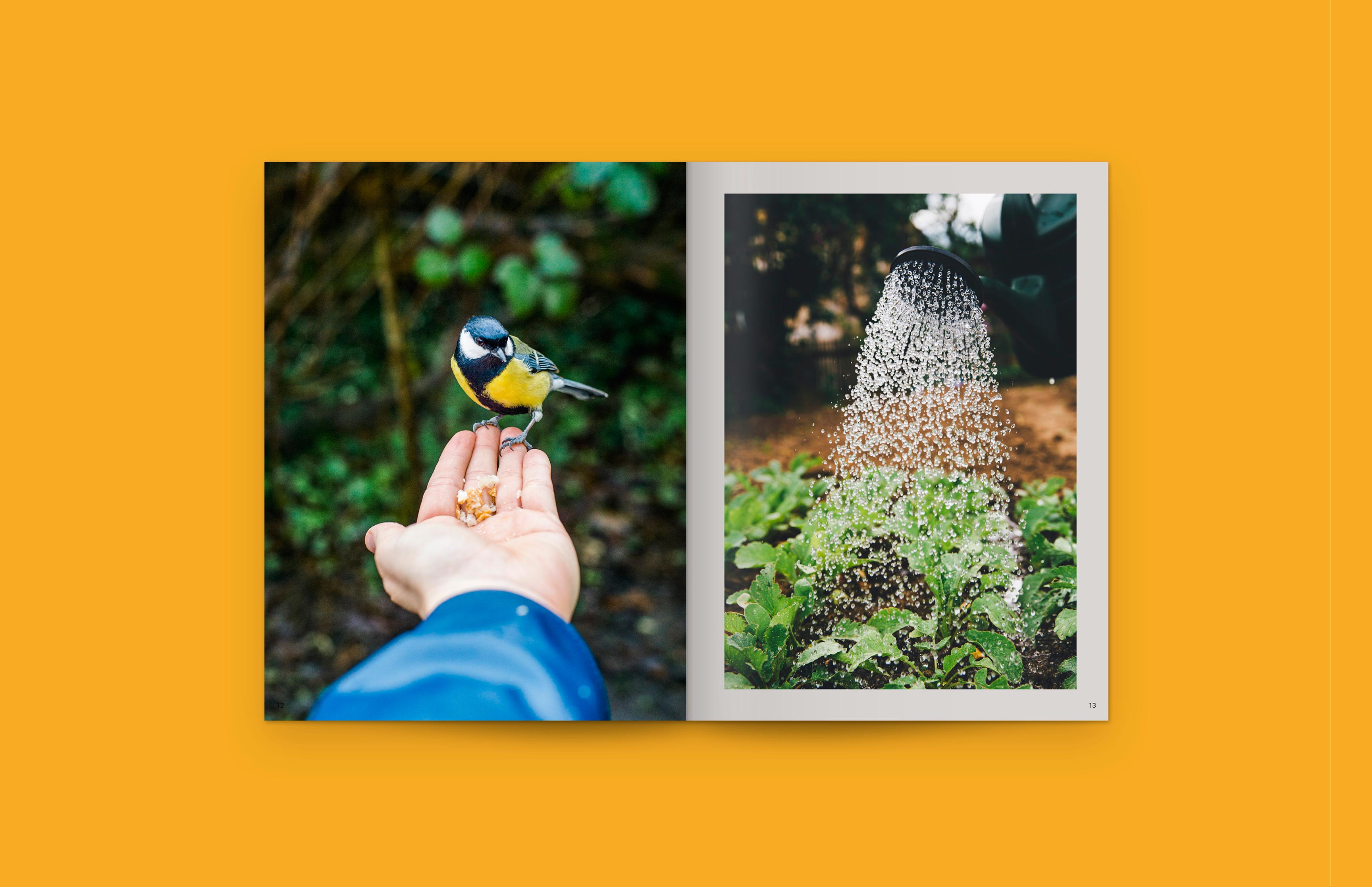 Doppelseite aus dem Wertebuch von Wortmann & Partner mit Text und Naturfotografie – konzeptionelles Editorial Design von Neue Identität Designagentur Bielefeld.